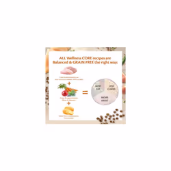 Wellness CORE Sterilised Original, Dry Cat Food, Cat Food Dry 4 kg