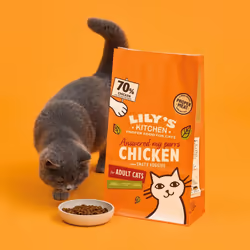 ) Lily's Kitchen Made with Natural Ingredients Adult Dry Cat Food Bag Chicken with Veggies Grain-Free Recipe 2kg - Chicken Casserole, 2 kg (Pack of 1