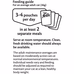 Felix Doubly Delicious Ocean Recipes Cat Food - 7+ Mixed Cat Food 120x100g
