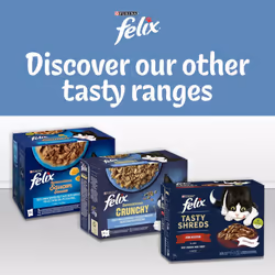 ) Felix Doubly Delicious Ocean Recipes Cat Food - Gravy Wet Cat Food 12x85g (Pack of 4
