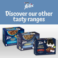 ) Felix Doubly Delicious Ocean Recipes Cat Food - Gravy Wet Cat Food 12x85g (Pack of 4