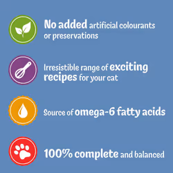 ) Felix Doubly Delicious Ocean Recipes Cat Food - Gravy Wet Cat Food 12x85g (Pack of 4