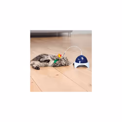 Trixie 4567 Catch Me with Motor / Remote Control