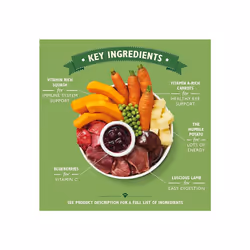 Lily's Kitchen Natural Adult Dog Food Wet Tins Lamb Hotpot Complete Meal Recipes (6 Tins x 400g)