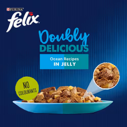 Felix Doubly Delicious Ocean Recipes Cat Food 12x100g, Pack of 4