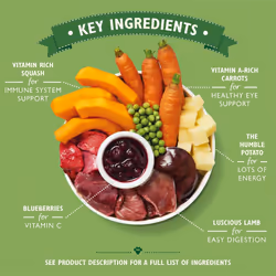 Lily's Kitchen Lamb Hotpot - Complete Natural Adult Dog Food Wet (10 x 150g Trays)
