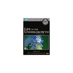 Life in the Undergrowth (Repackaged) (DVD)