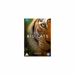 Big Cats [2018] (DVD)
