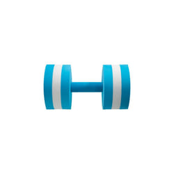 Speedo Aqua Dumbells Pool Weights - Dumbbells Bluewhite One Size -  aqua speedo dumbbells bluewhite one size