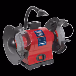 Bench Grinder Ø200mm with Worklight 550W/230V