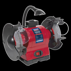 Bench Grinder &#216;200mm with Worklight 550W/230V