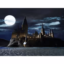 Warner Bros LEGO Harry Potter: Collection Standard PlayStation 4 - Additional view 8