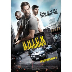Warner Home Video Brick Mansions DVD English
