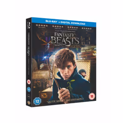 Warner Bros FANTASTIC BEASTS AND WHERE TO FIND THEM Blu-ray Full HD English