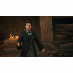 Warner Bros. Games Hogwarts Legacy Standard English PlayStation 4 - Additional view 4