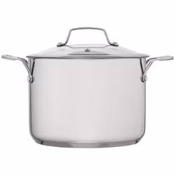 Stellar Stainless Steel Stockpot 22cm 5L