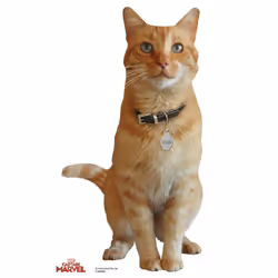 Goose the Cat from Captain Marvel Official Cardboard Cutout/ Standup