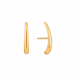 Ania Haie E024-05G Ladies Earrings