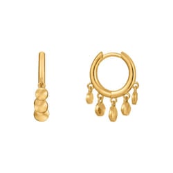 Ania Haie E023-03G Ladies Earrings