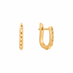 Ania Haie E025-07G Ladies Earrings
