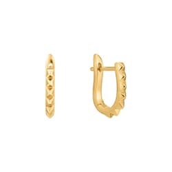 Ania Haie E025-07G Ladies Earrings