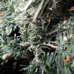 2m (6.5ft) Premier Plain Green Spruce Pine Slim Christmas Tree with Stand