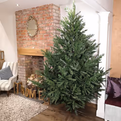 8ft 240cm Green Glenshee Spruce Artificial Christmas Tree PE and PVC Mix Natural Look