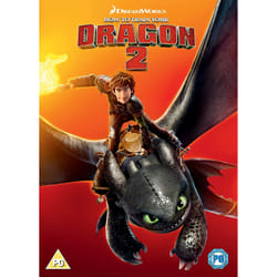 Warner Bros How To Train Your Dragon 2 DVD English