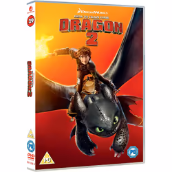 Warner Bros How To Train Your Dragon 2 DVD English