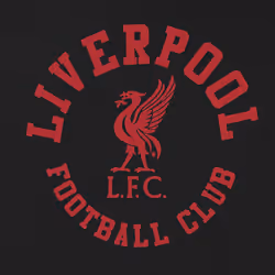 Liverpool FC Official Football Gift Mens Graphic Fleece Hoody - Black, Medium