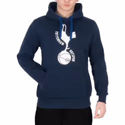 Tottenham Hotspur FC Official Football Gift Mens Fleece Graphic Hoody - Medium