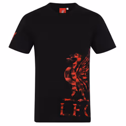 Liverpool FC Official Football Gift Mens Graphic T-Shirt - Black Sleeve Logo, XL