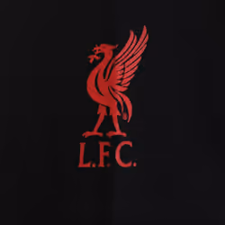 Liverpool FC Official Football Gift Mens Graphic T-Shirt - Black Sleeve Logo, XL