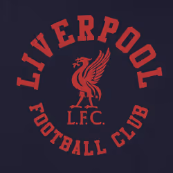 Liverpool FC Official Football Gift Mens Graphic Fleece Hoody - Navy Blue, Medium