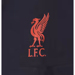 Liverpool FC Official Football Gift Mens Graphic T-Shirt - Navy Sleeve Logo, XL
