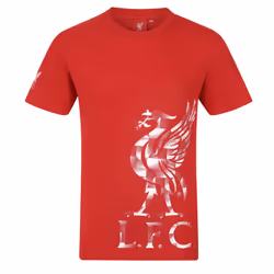 Liverpool FC Official Football Gift Mens Graphic T-Shirt - Red Sleeve Logo, Medium