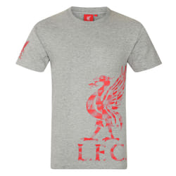 Liverpool FC Boys T-Shirt Graphic Kids OFFICIAL Football Gift - Grey, 4-5 Years