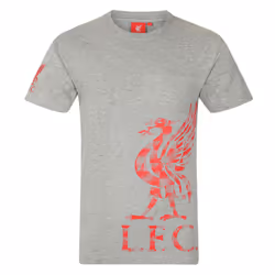 Liverpool FC Boys T-Shirt Graphic Kids OFFICIAL Football Gift - Grey, 6-7 Years