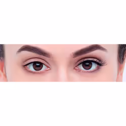Eylure Strip False Lashes Texture No. 117