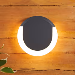 Biard Crescent Halo LED Large Circular Outdoor Wall Light