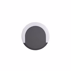 Biard Crescent Halo LED Large Circular Outdoor Wall Light