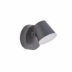 Biard Dalen LED Outdoor Swivel Wall Light