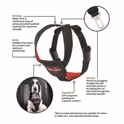 Company of Animals The CLIX CarSafe Harness Extra Small