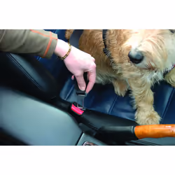 Company of Animals The CLIX CarSafe Harness Extra Small