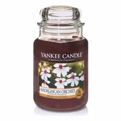 Yankee Candle Large Jar Candle, Madagascan Orchid