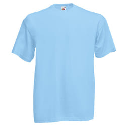 Fruit Of The Loom Mens Valueweight Short Sleeve T-Shirt - L, Sky Blue