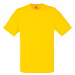 Fruit Of The Loom Mens Valueweight Short Sleeve T-Shirt - S, Yellow