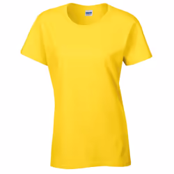 Gildan Ladies/Womens Heavy Cotton Missy Fit Short Sleeve T-Shirt - XL, Daisy