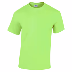 Gildan Youth Unisex Heavy Cotton T-Shirt - XS, Mint Green