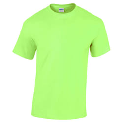 Gildan Youth Unisex Heavy Cotton T-Shirt - XS, Mint Green